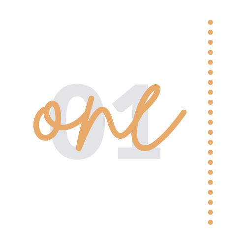 One V02 One V02